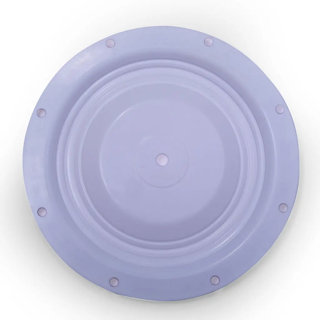 29-Diaphragm-Teflon---2inch_01.webp