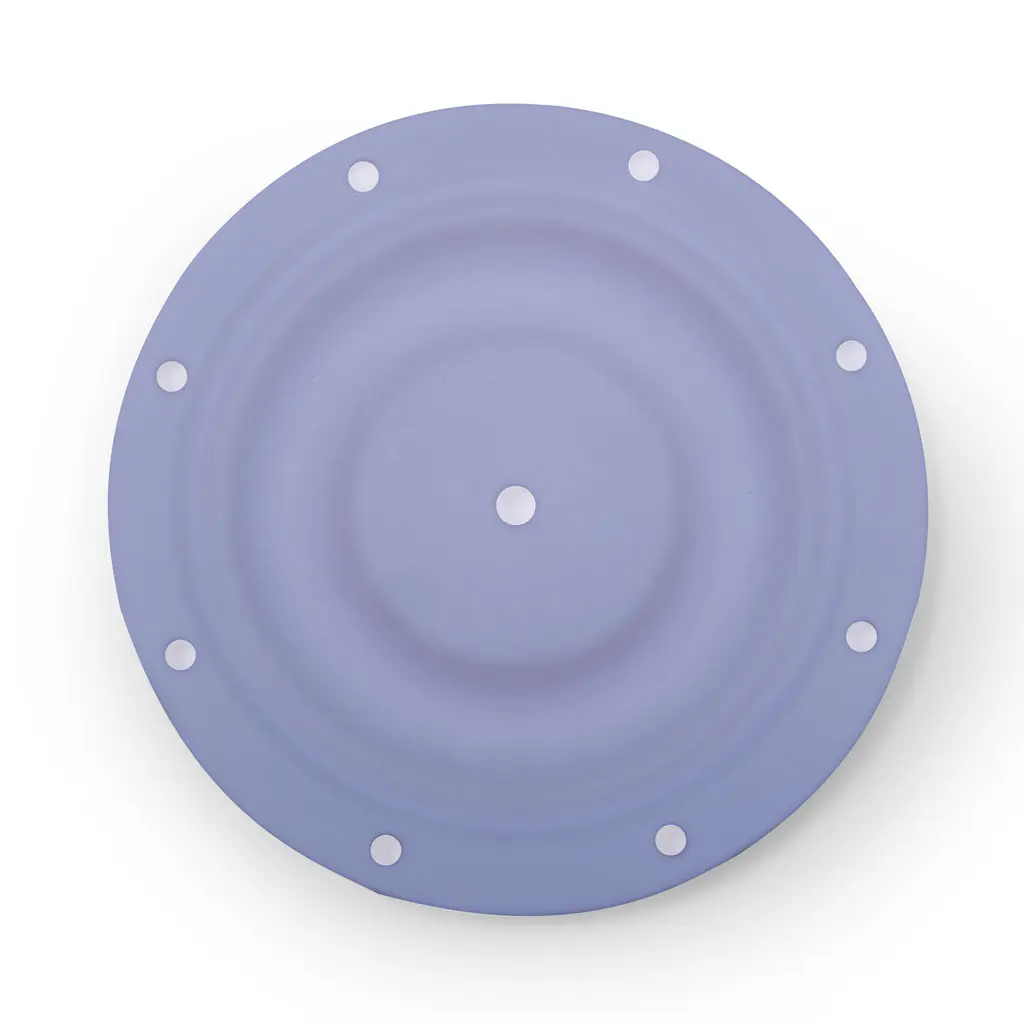 32-Diaphragm-Teflon---1_01.webp
