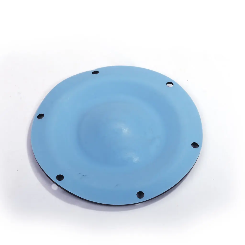 DIAPHRAGM TEFLON (1 40 5005)