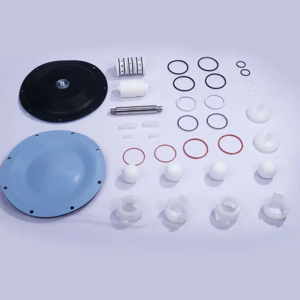 SET 2 SERVICE KIT (DM 40-PTT)