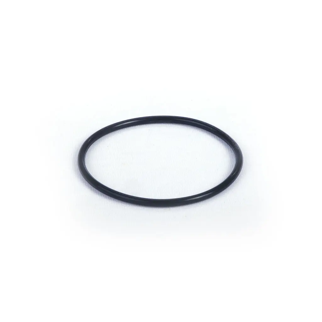 AIR VALVE O-RING FFKM (1 40 080 09)