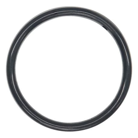 O-Ring (.924 X .103) Enc/Ptf