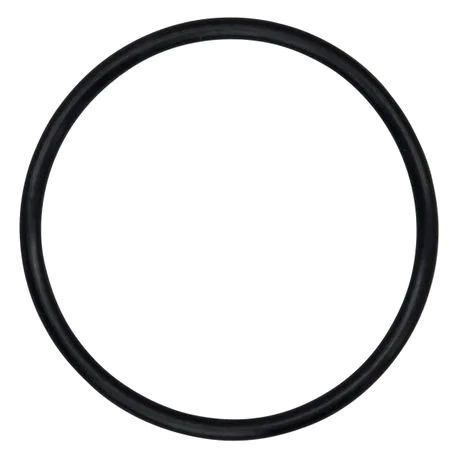 O-RING, (3.109 X.139) P15ENDCP