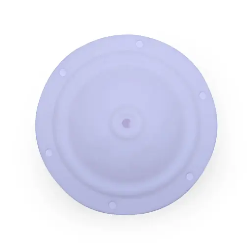 [15-033] DIAPHRAGM TEFLON - 1/2" (15-033)