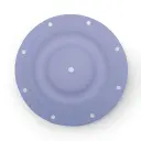 [25-016] DIAPHRAGM TEFLON - 1" (25-016)