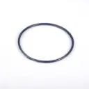 [2 50 70 04] O-RING INLET/ OUTLET FFKM (2 50 70 04)