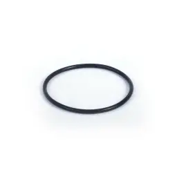 AIR VALVE O-RING FFKM (1 40 080 09)