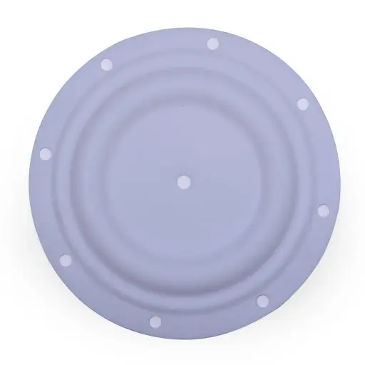 DIAPHARGM TEFLON 1/4" (06-141)