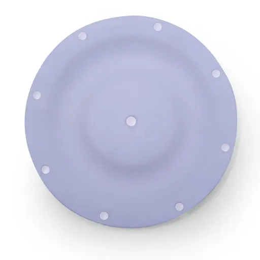 DIAPHARGM TEFLON 1/2" (1H-038)