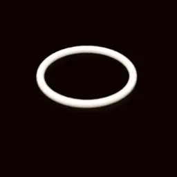 O-RING PTFE (G-416)
