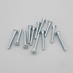 Bolt, Rhsn, 1/4-20 X 2