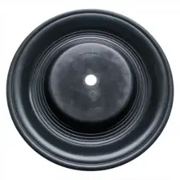 DIAPHRAGM, PRIMARY, UF, NEO